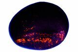 Highly Fluorescent Yooperlite Pebble - Michigan #176873-1